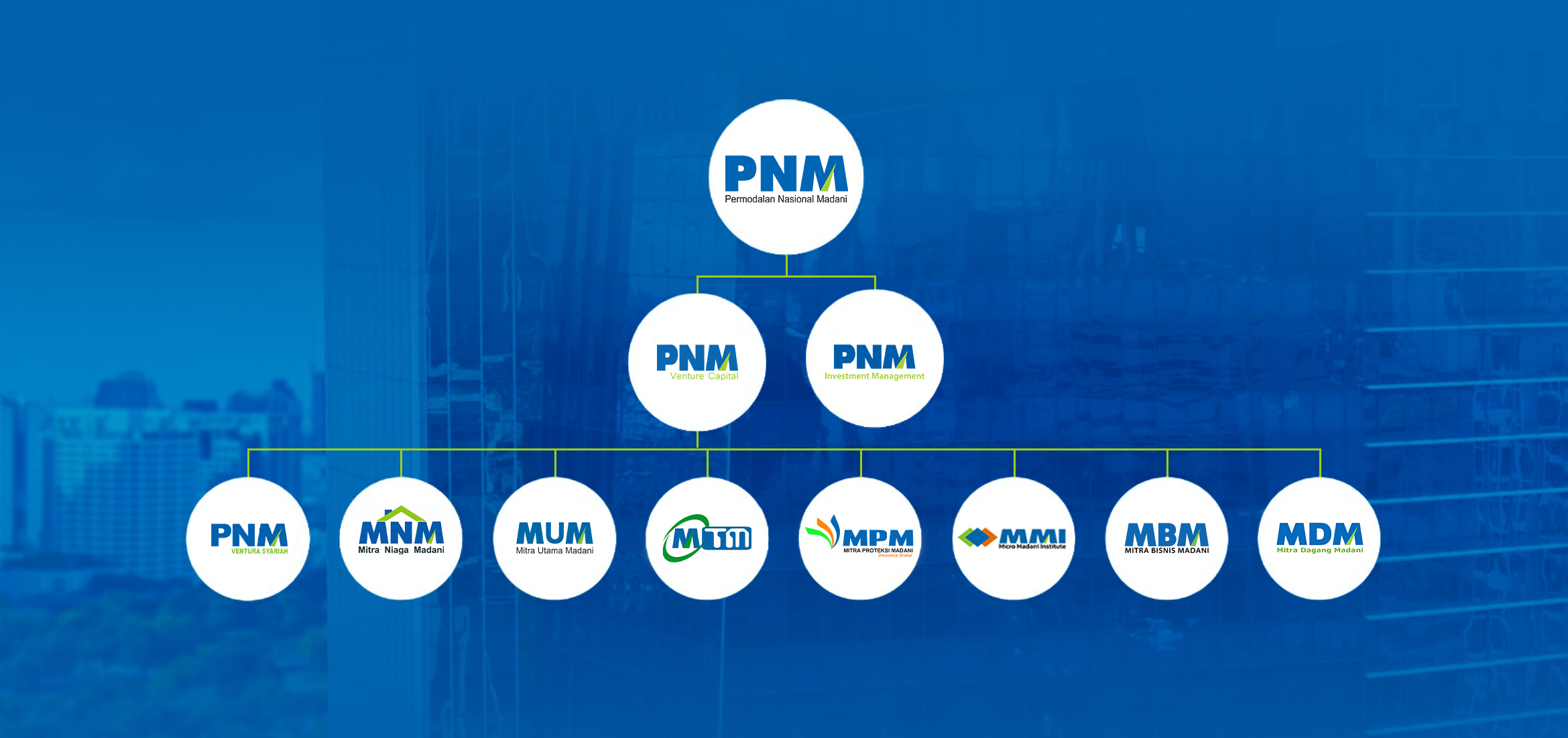 PNM Grup