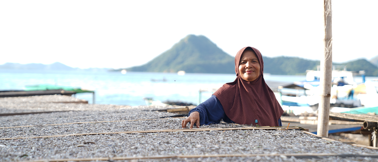 Sejarah PNM